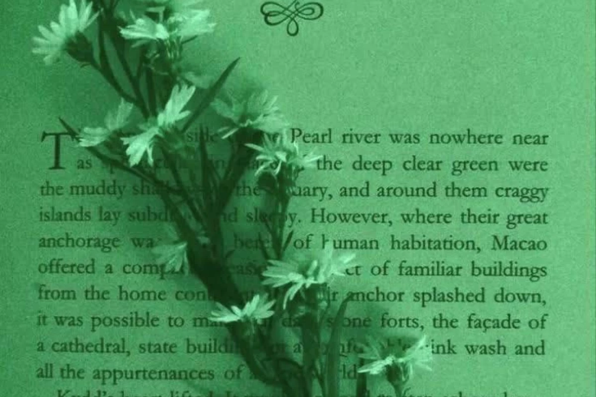 عکس ایده بیوگرافی☆☆