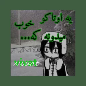 عکس یه اوتاکو خوب میدونه که