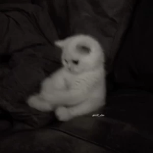 رمان های معروف نشر مجازی