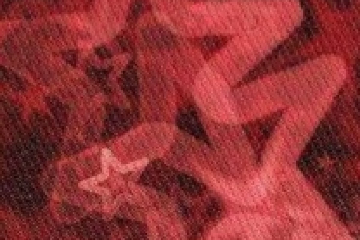 عکس اگه نت ملی شد چه کار کنیم؟