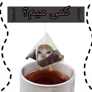 عکس کمی میم؟