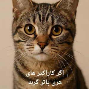 عکس اگر کاراکتر های هری پاتر گربه بودن