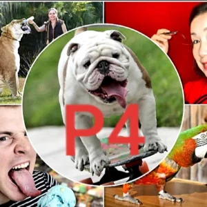 عکس عجیب ترین رکورد های گینس P4