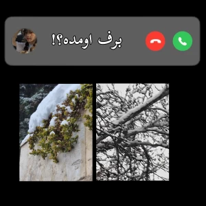 عکس برف‌اومده؟! (فان)