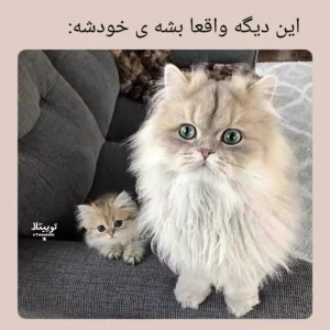 عکس توییت پارت ۲