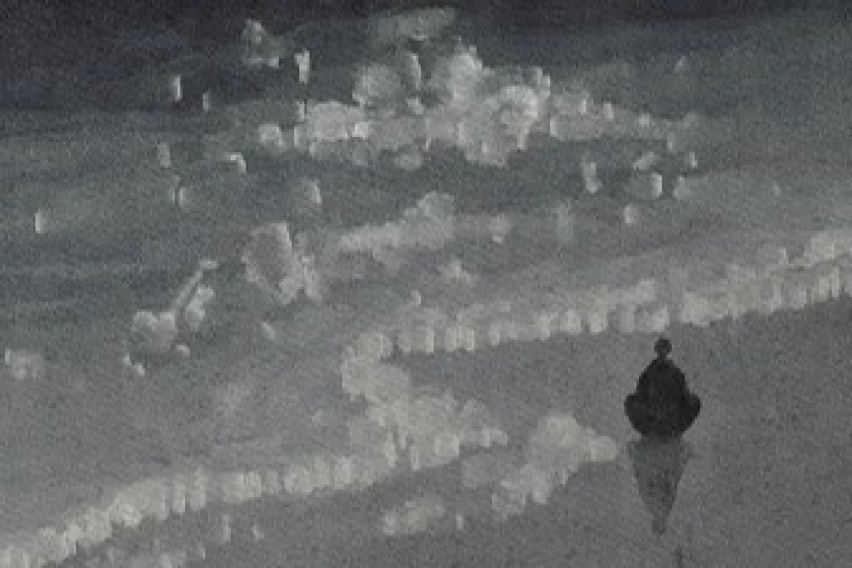 عکس مرثیه‌ی دو لنگه کفش؛