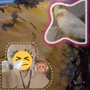 عکس دانشجو و روزی برفی