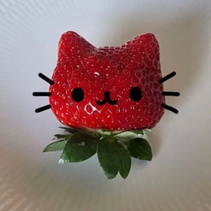 عکس 🍓:: استیکر برای ادیت هاتون