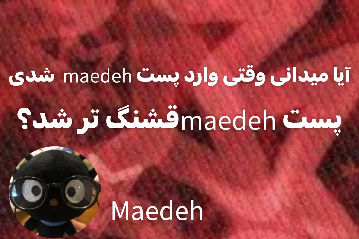 عکس شنبه با مائده🌸