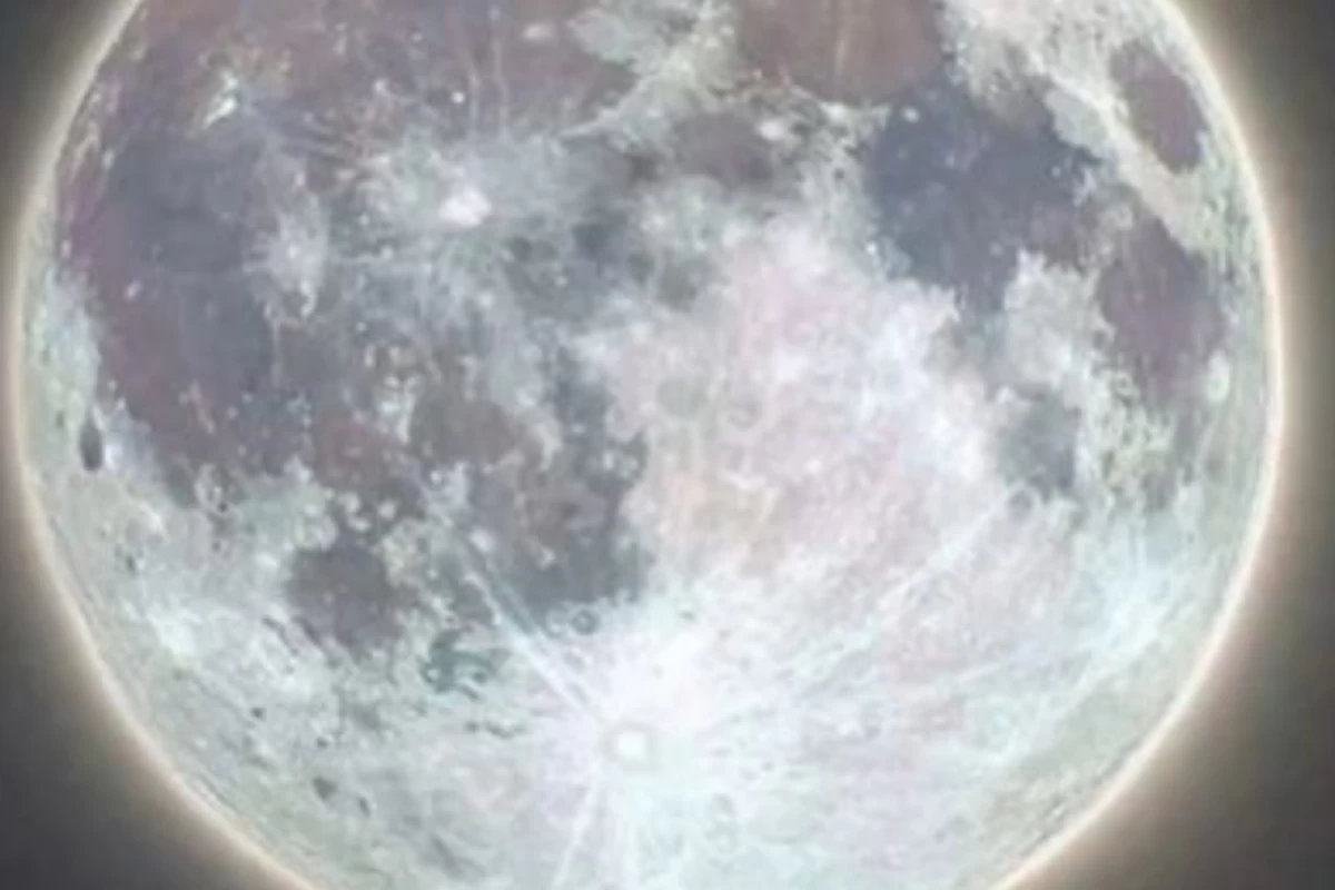 عکس معرفی رمان های معروف نشر داهی