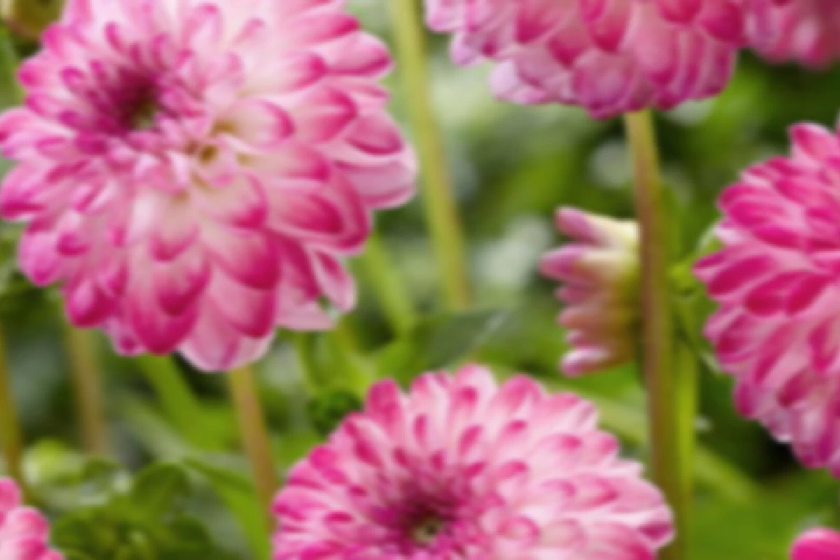 عکس مهارت های لازم برای زندگی توی این جهان