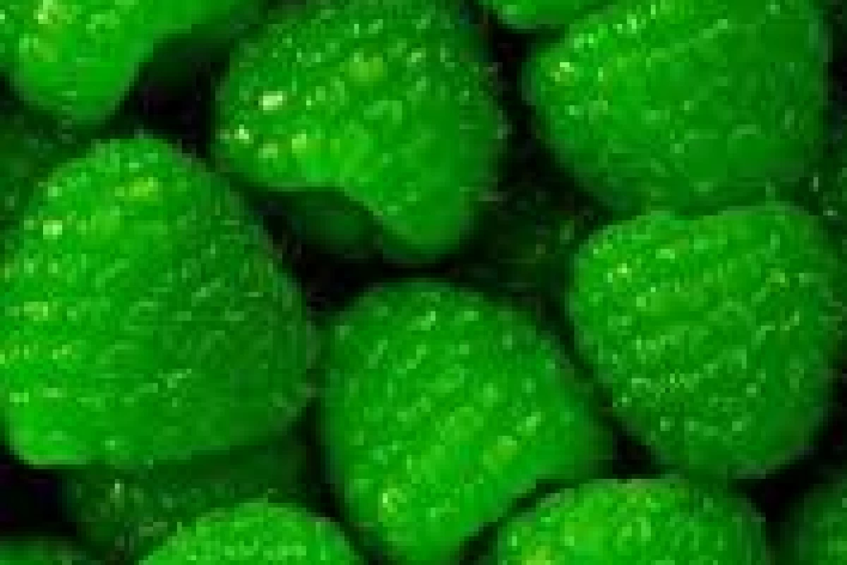 عکس ویژگی های افراد زرنگ