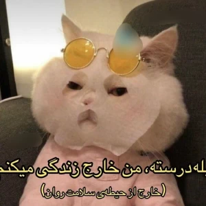 عکس توییت پارت ۳