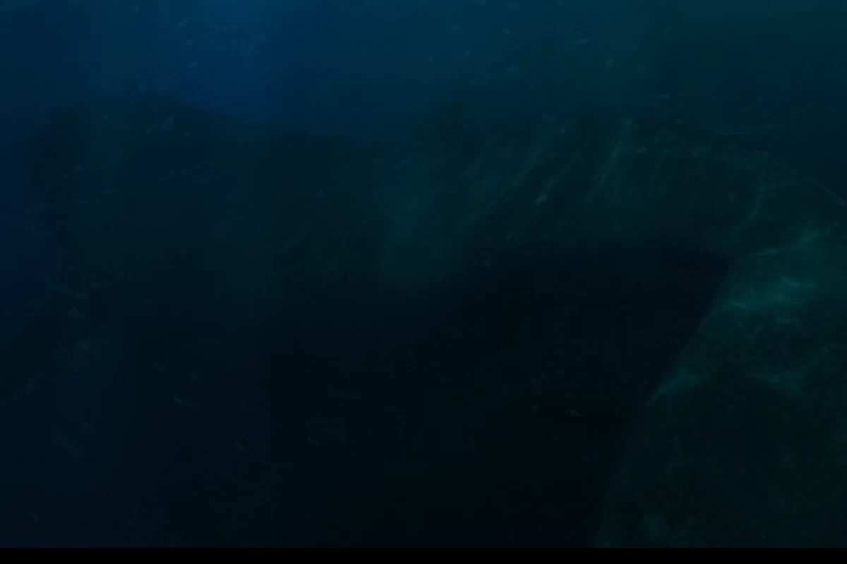 عکس توییت انیمه 4