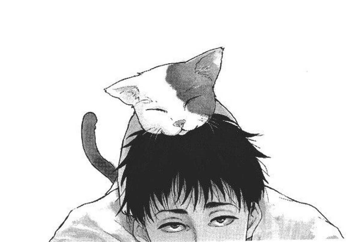 عکس تمركـزت رو بالا ببر  !