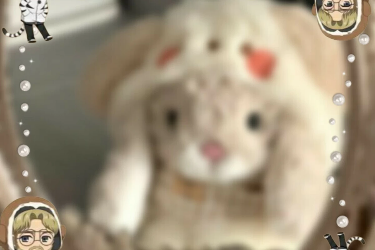 عکس زندگی اون از من بهتره؟