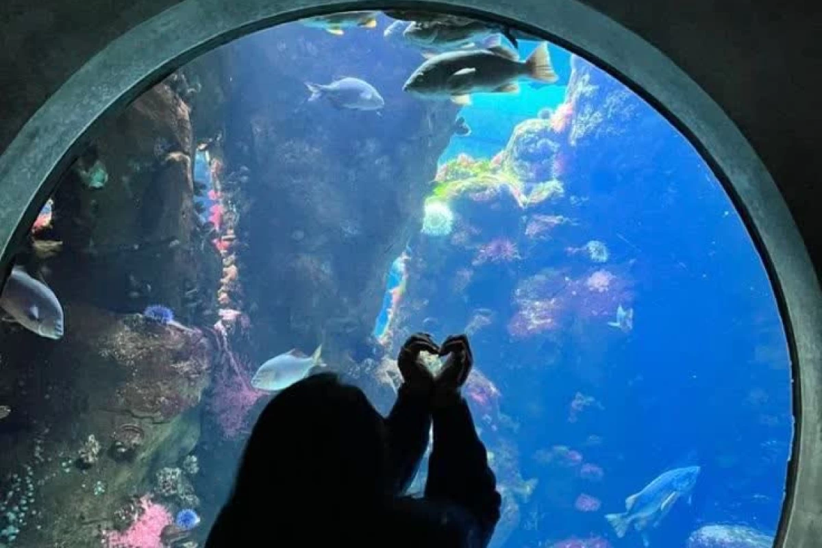 عکس مدل مو انیمه ای به سبک春天