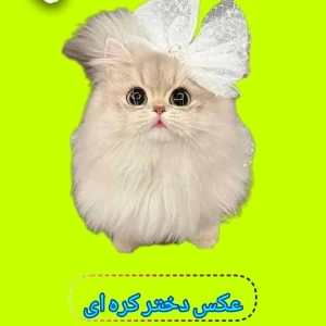 عکس عکس دختر کره ای🇰🇷