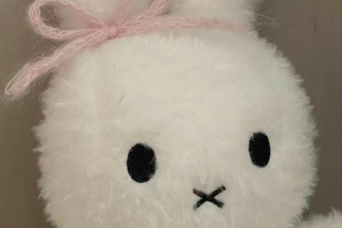 عکس 🍊:منم فقط شوخی کردم!