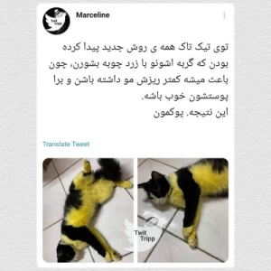 عکس توییت های ملت ایران😆☝🏻p۵۸