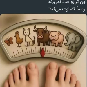 عکس میم پیم