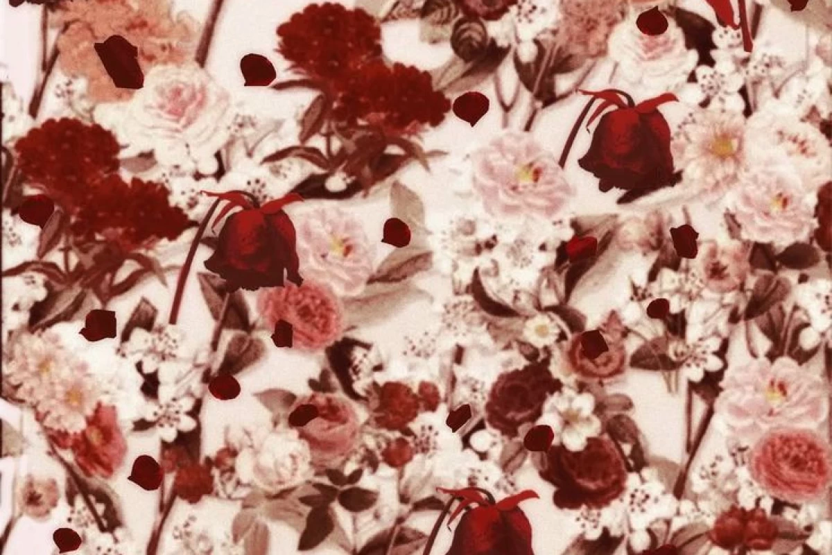 عکس آیینه‌ی حیرت و مأمنِ جان