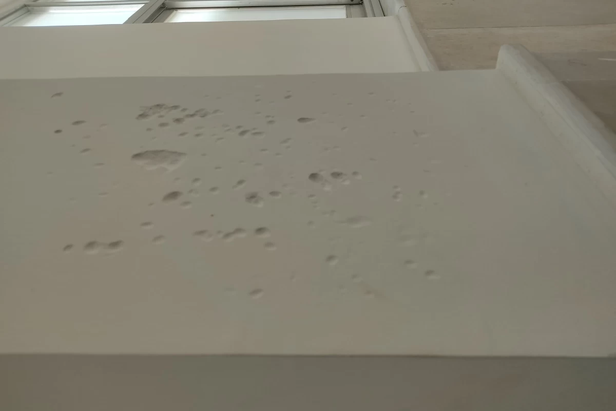 عکس ریچارد؟