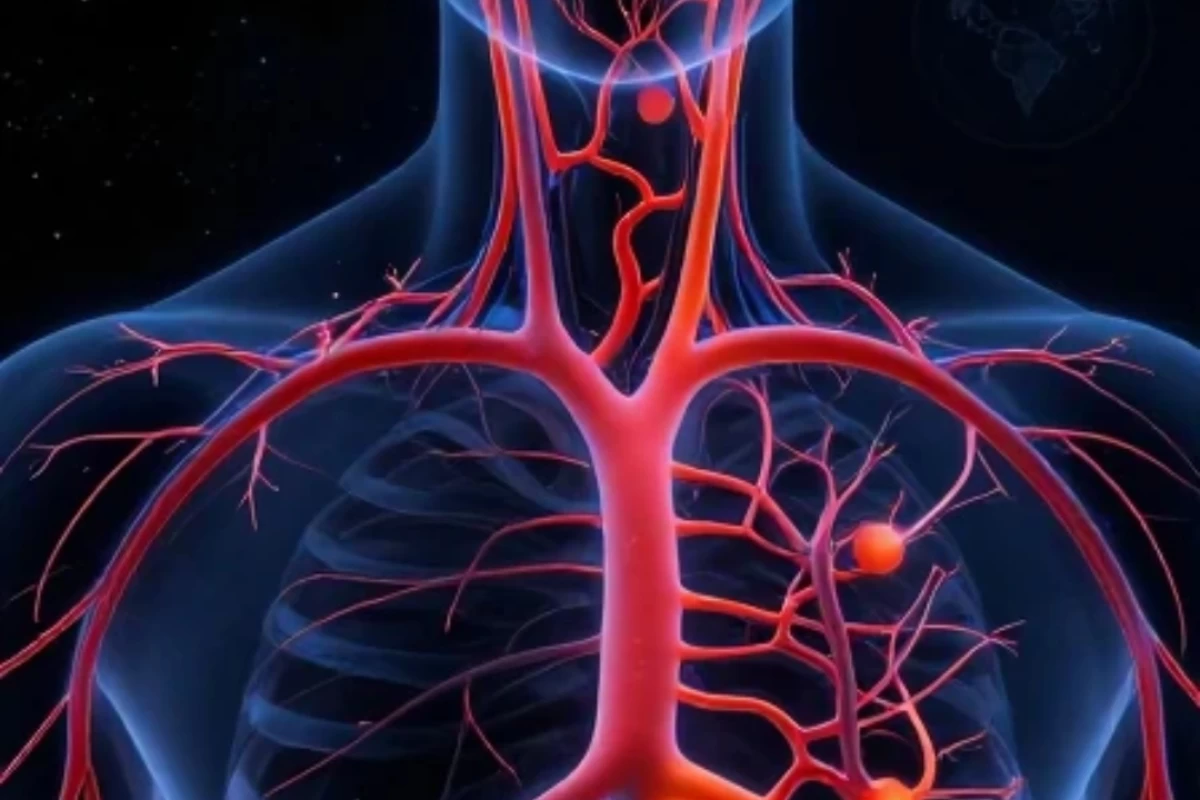 عکس دانستی های عجیب بیولوژیکی