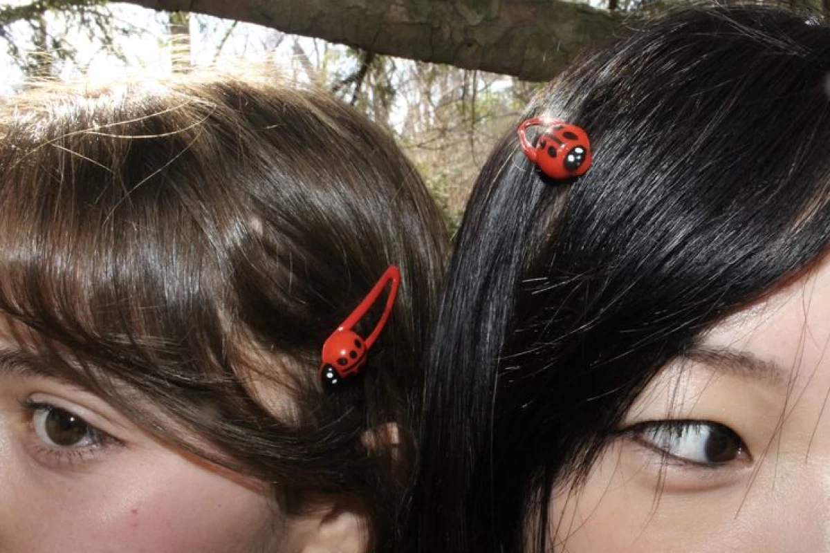 عکس معنای زندگی از نظر ژاپنی ها