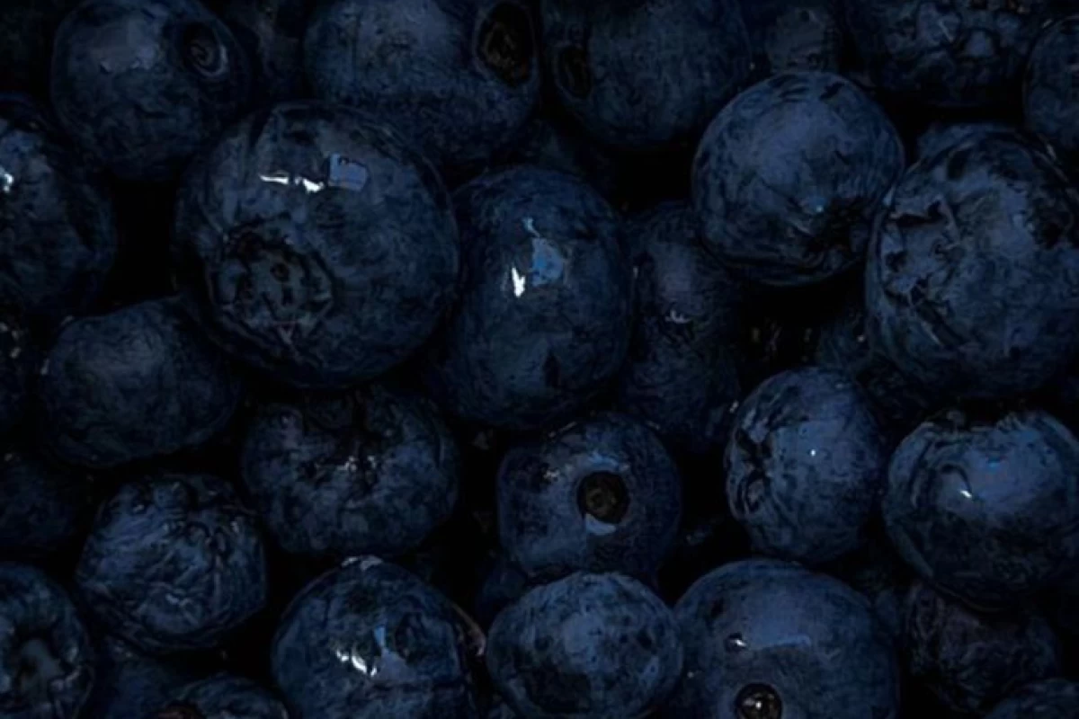 عکس ژورنال بنویسیم؟