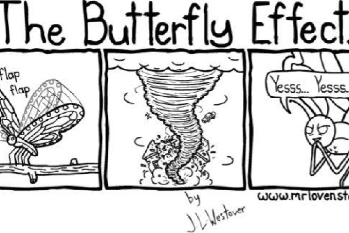 عکس چگونه پرواز پروانه منجر به طوفان می‌شود؟