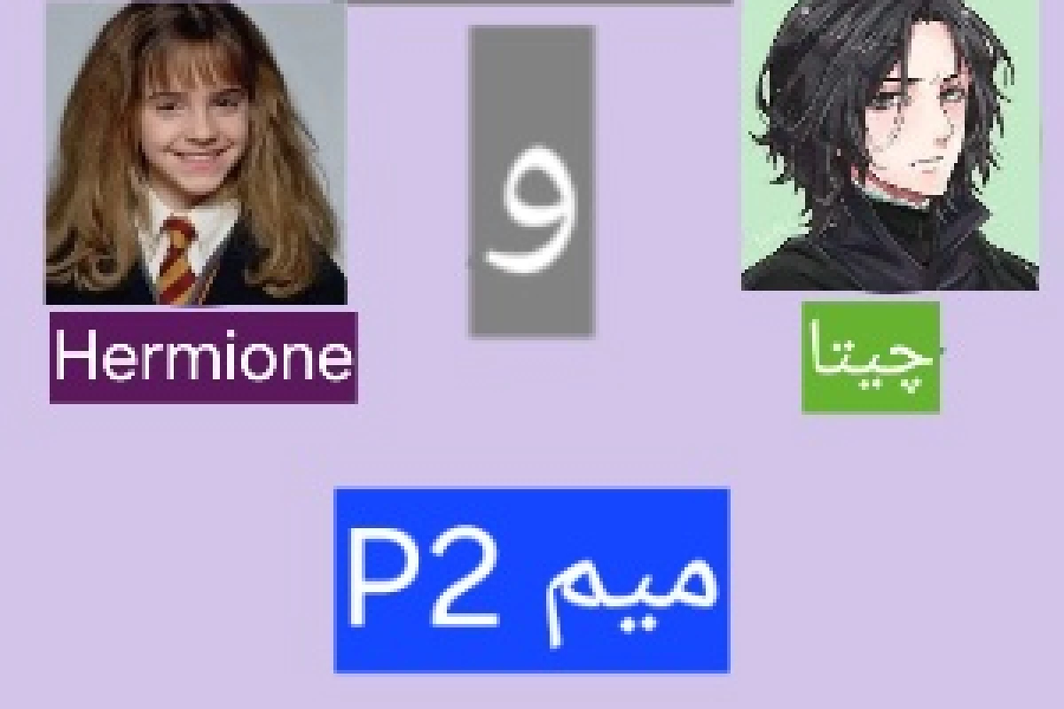عکس میم p2