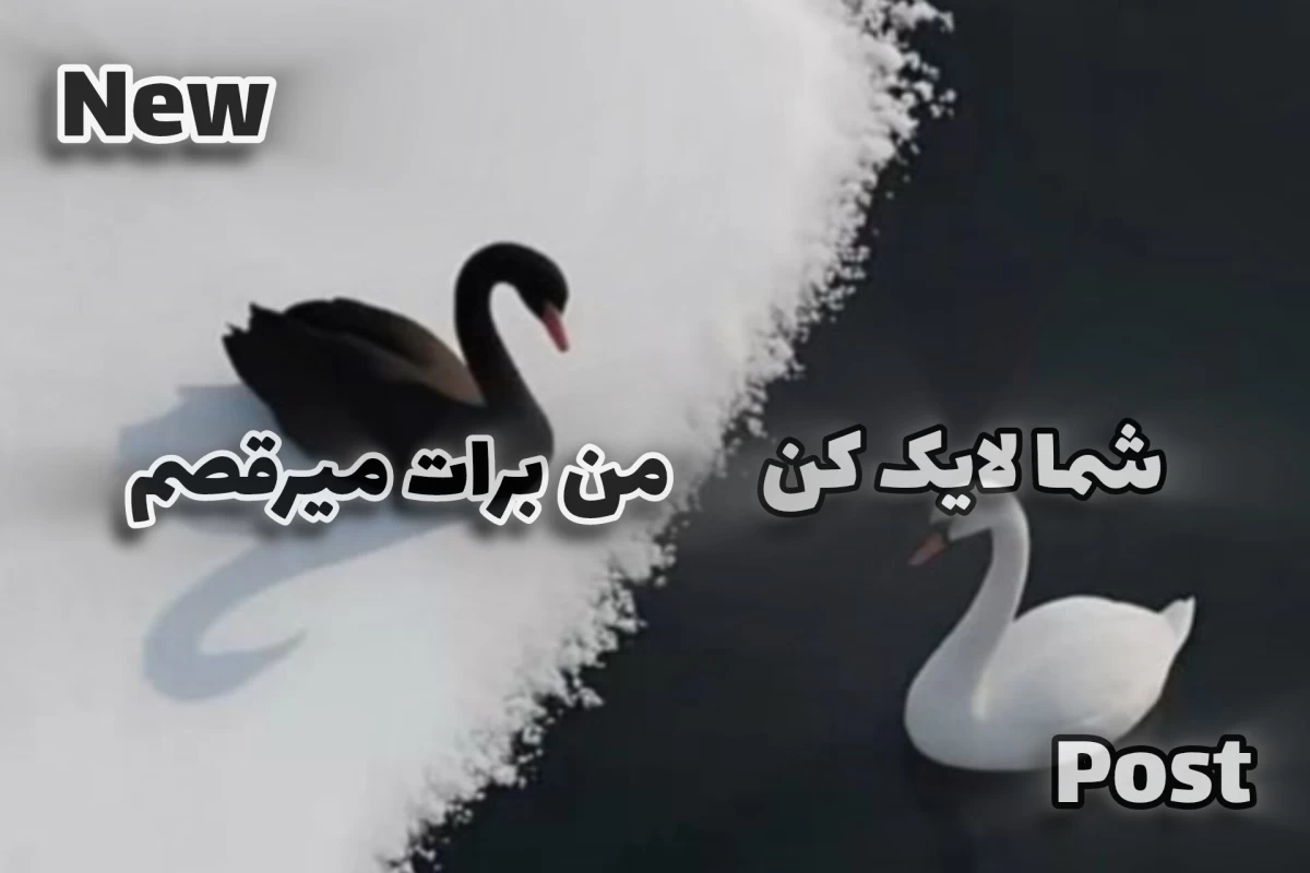 عکس شخصیت ها معلم شدن!؟ *فان*