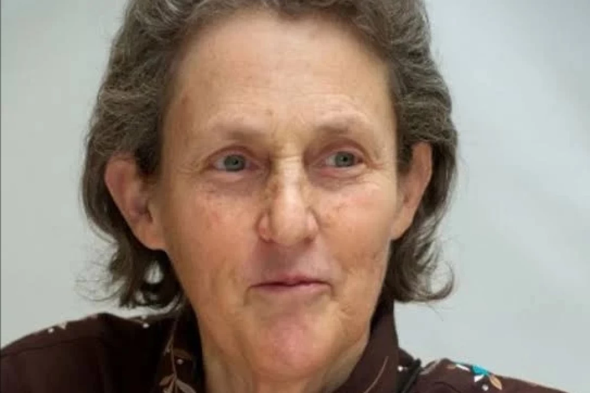 عکس تمپل گرندین