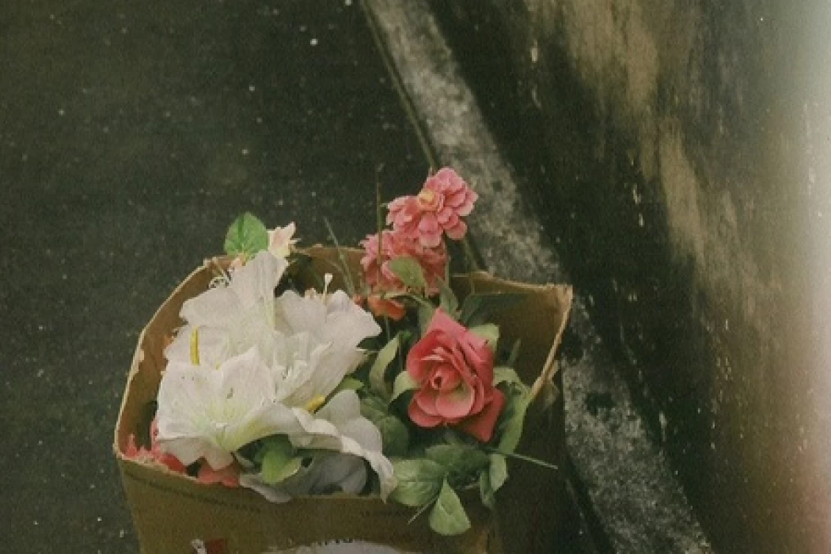 عکس اندکی‌فاخرازایران"🦇"