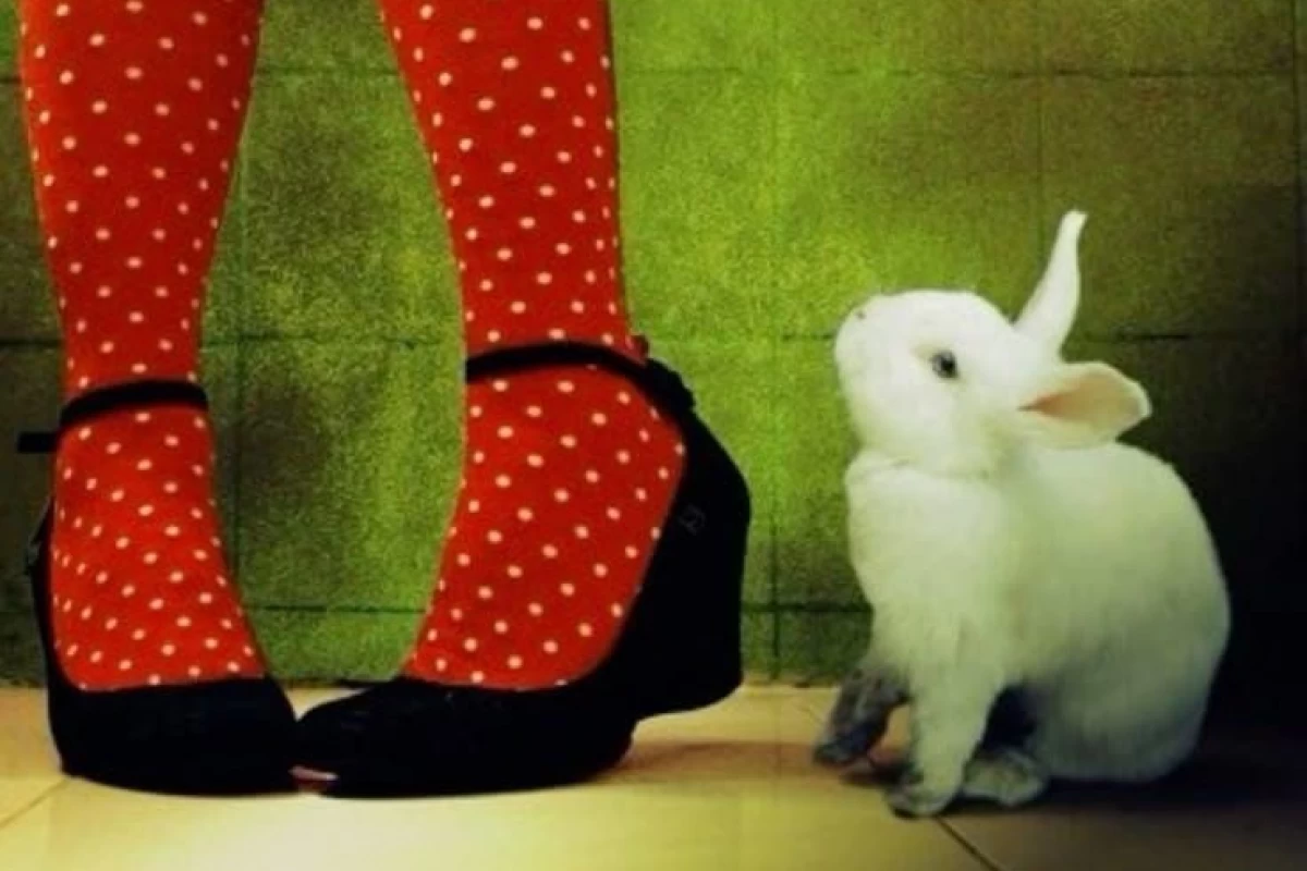 عکس تروما های بین نسلی