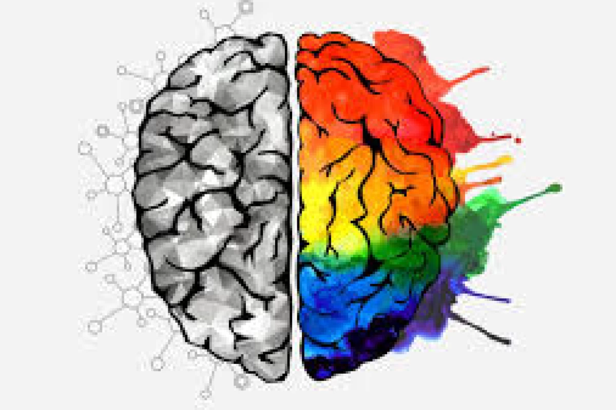 عکس 5 نکته جالب درباره مغز