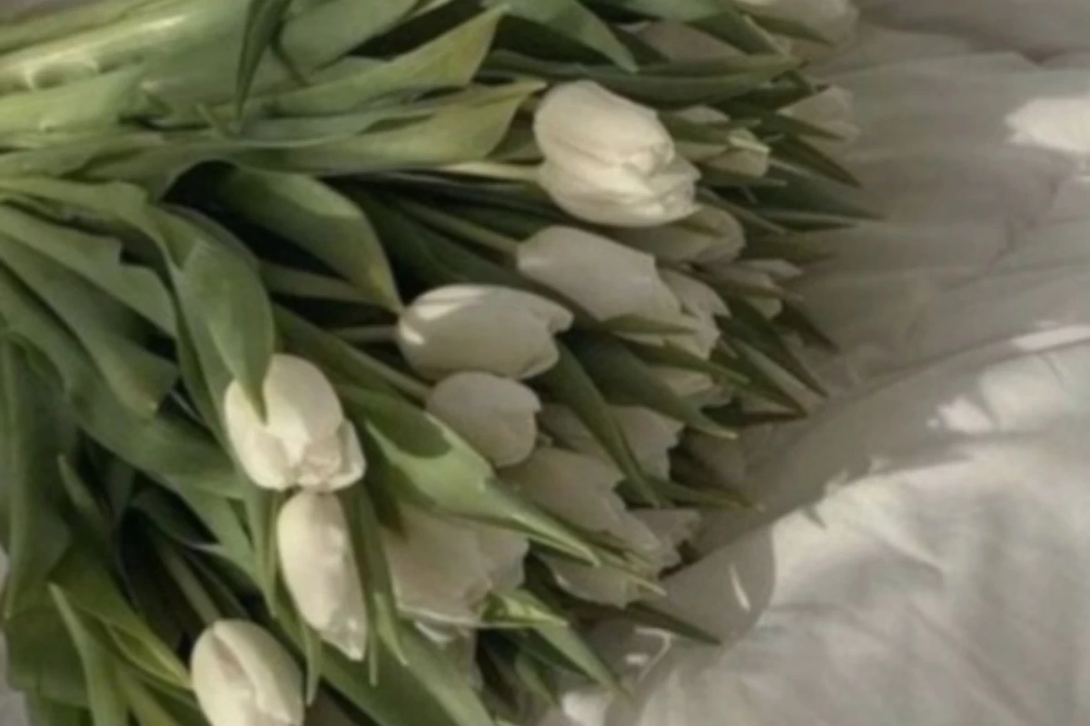 عکس چرا مغز انسان خلاقه؟