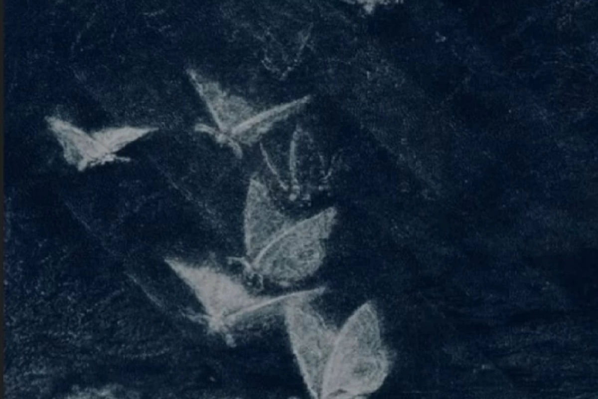 عکس پارادوکس شبح سیاه