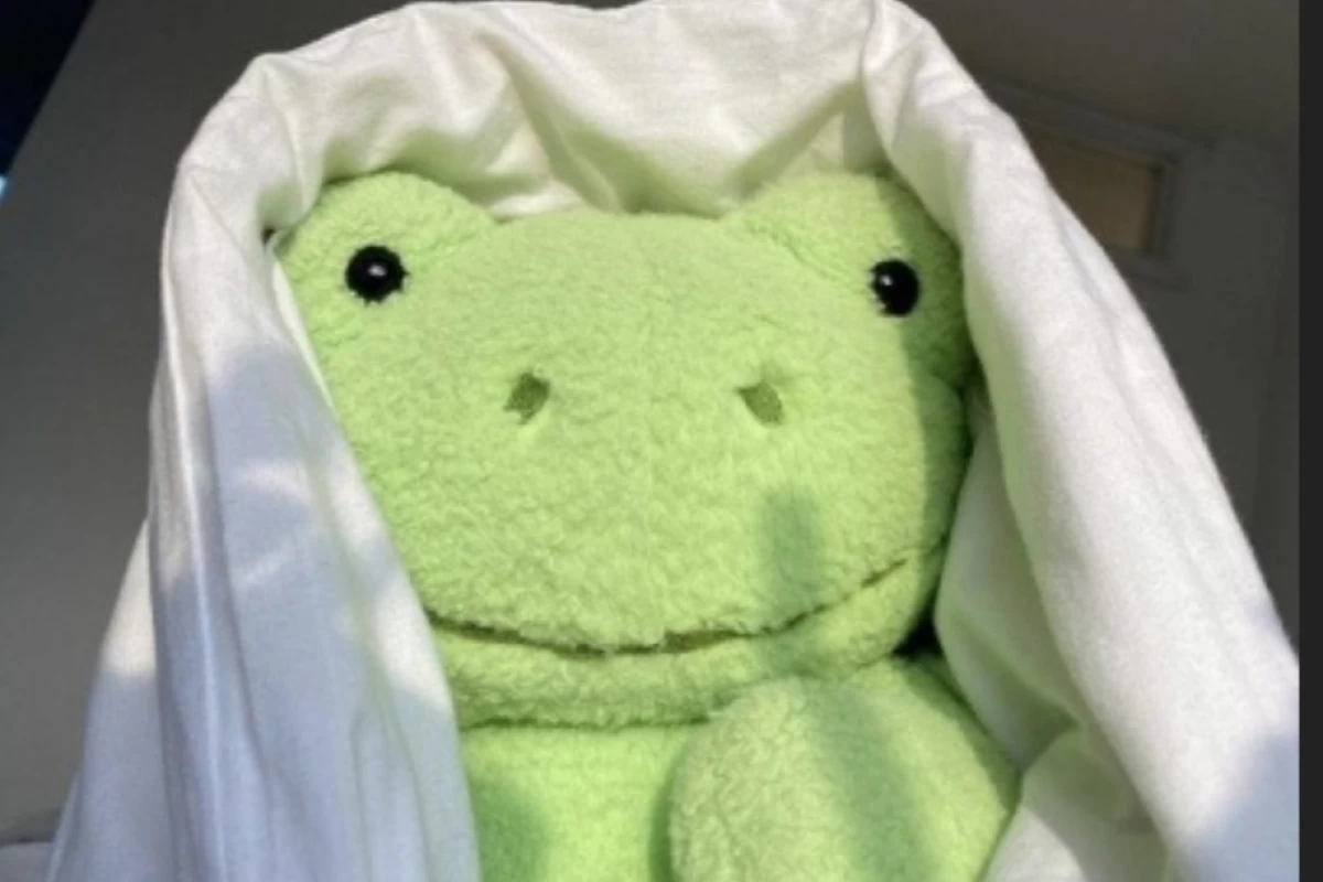 عکس مدارس دخترونه (فان)