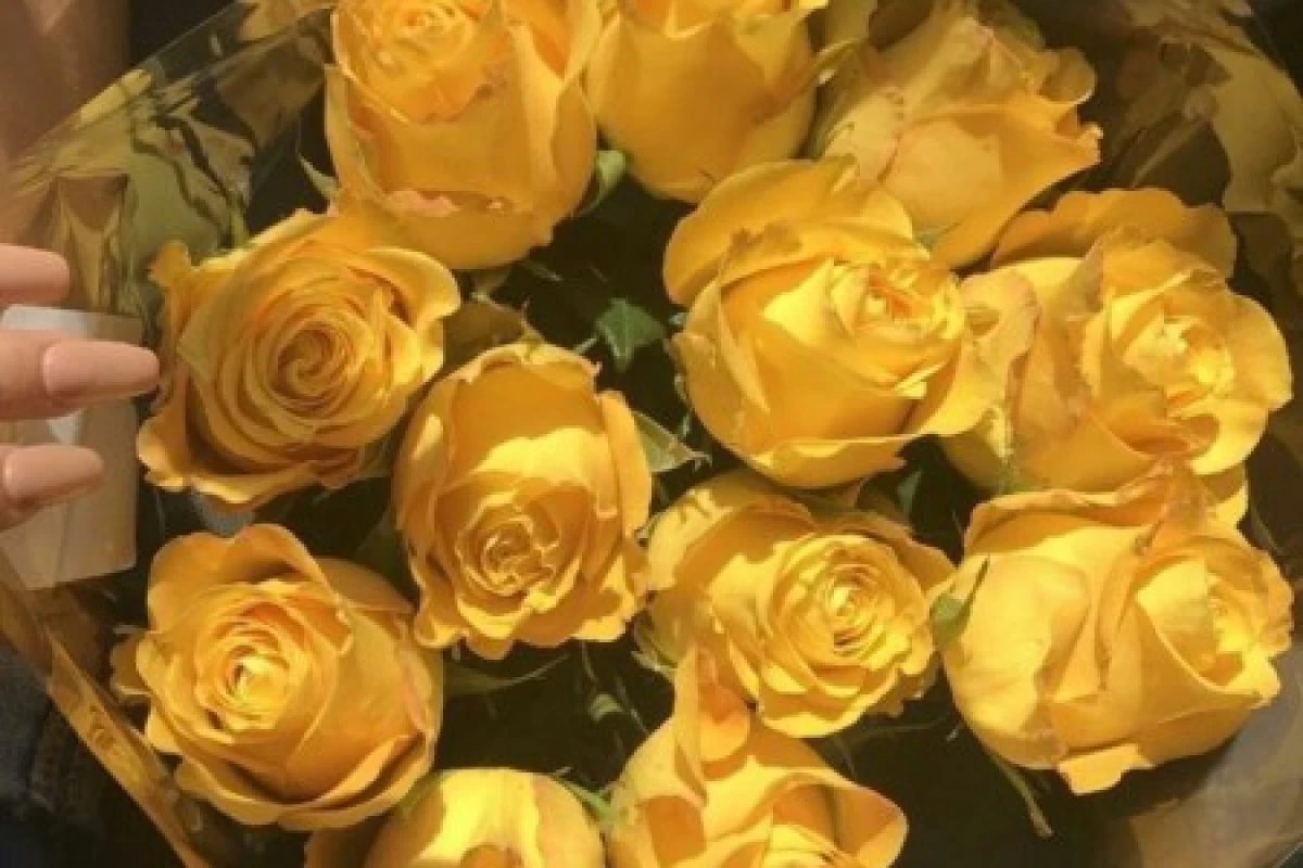 عکس آدم‌هایی که درد نمی‌فهمن!