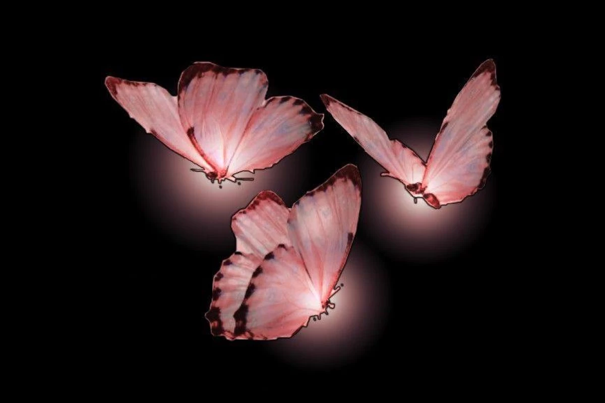 عکس مغزم می خواهد مرا بکشد؟!