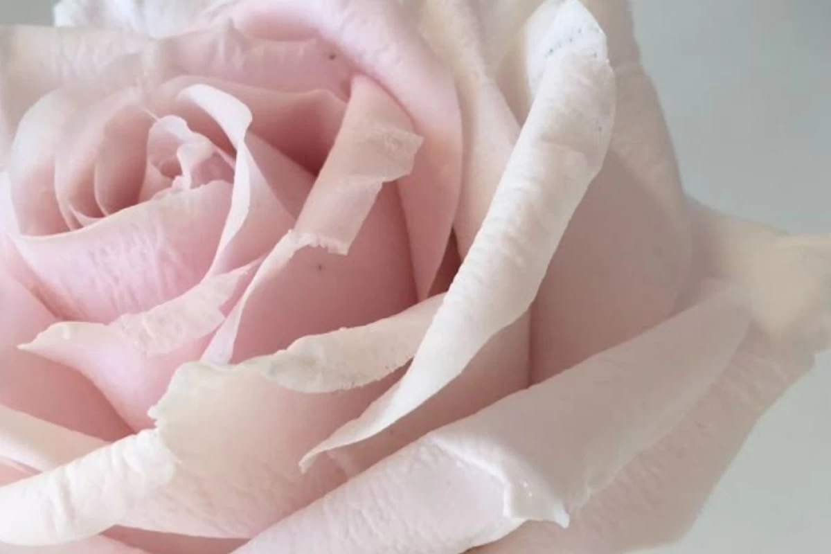 عکس انــرژی کـــلــمــات