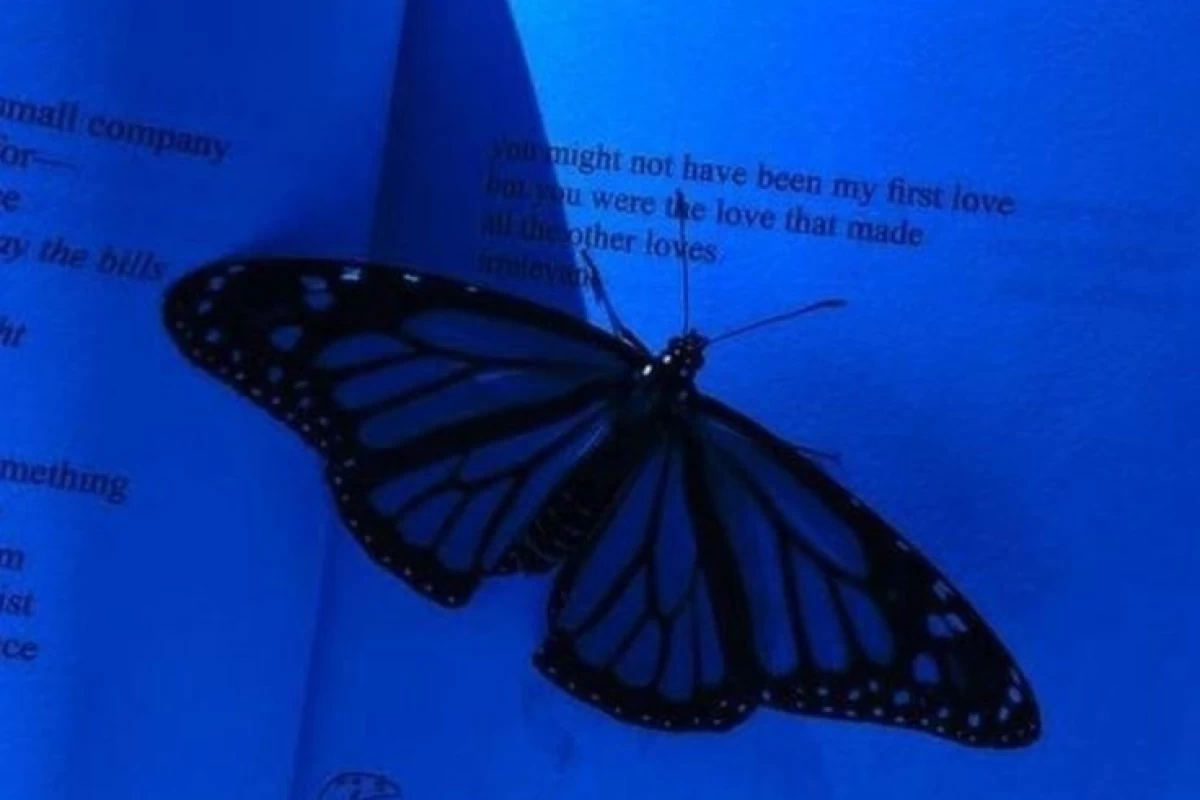 عکس 🖤+💖:منم همینطور!