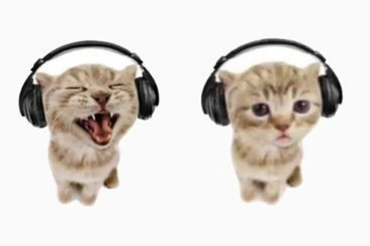 عکس اپ های کاربردي !