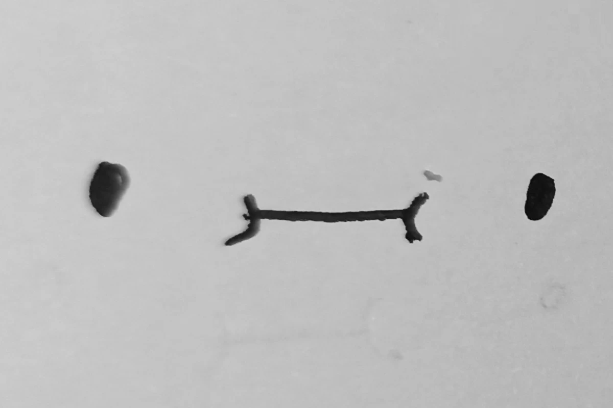 عکس ایده نقاشی ساده ولی کیوت(پارت ۱)