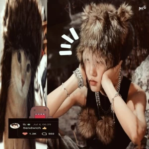 عکس ،،توت‌فرنگی‌