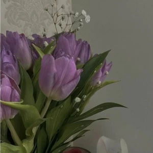 عکس معرفی بنده