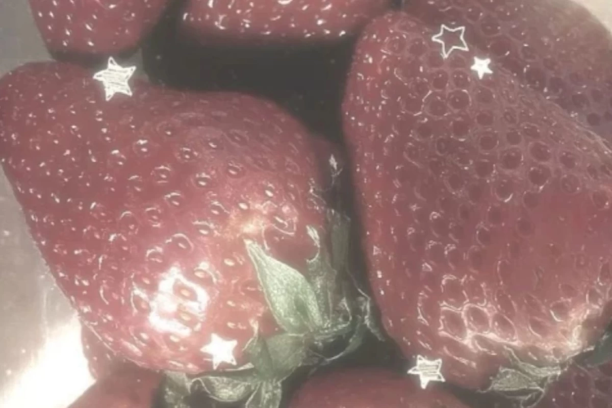 عکس معرفی بنده