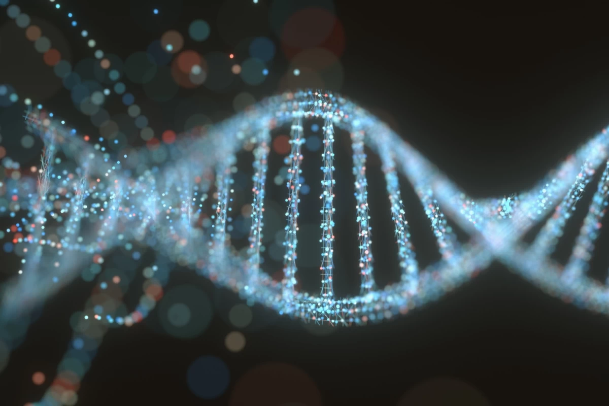 عکس اثرات محیط بر ساختار و بیان ژن‌ها (اپی‌ژنتیک)